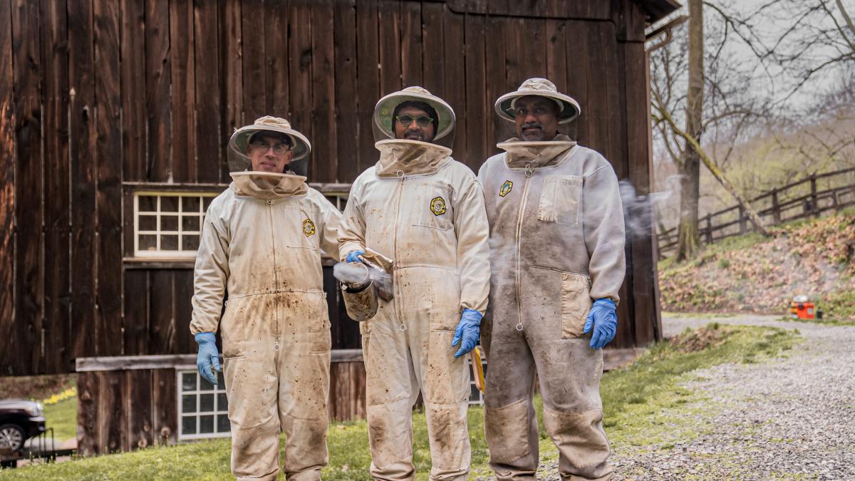 A photo of the beekeepers wearing beekeeper suits